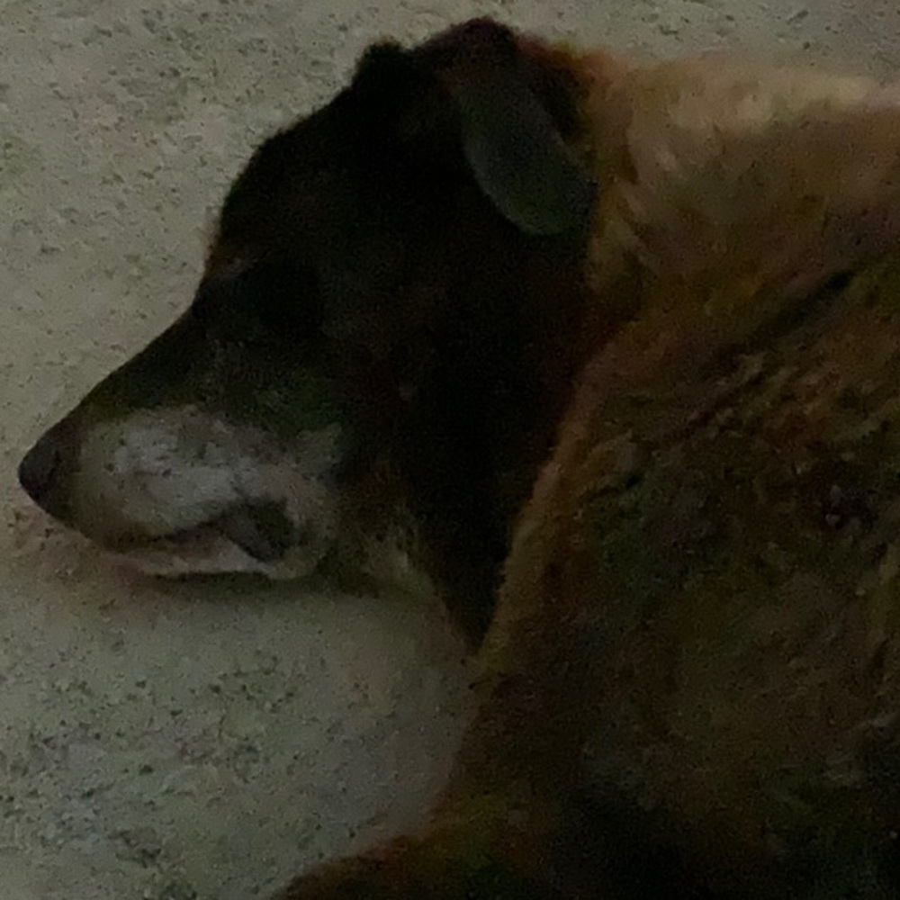 Meet your Posher, Myrna